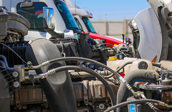 Aliado Tyrecheck Aeto